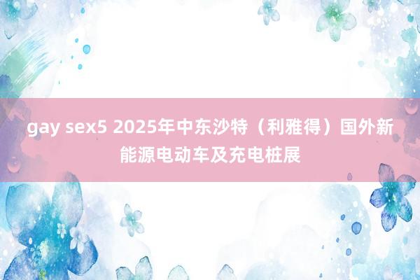 gay sex5 2025年中东沙特（利雅得）国外新能源电动车及充电桩展