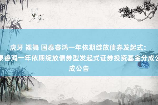 虎牙 裸舞 国泰睿鸿一年依期绽放债券发起式: 国泰睿鸿一年依期绽放债券型发起式证券投资基金分成公告