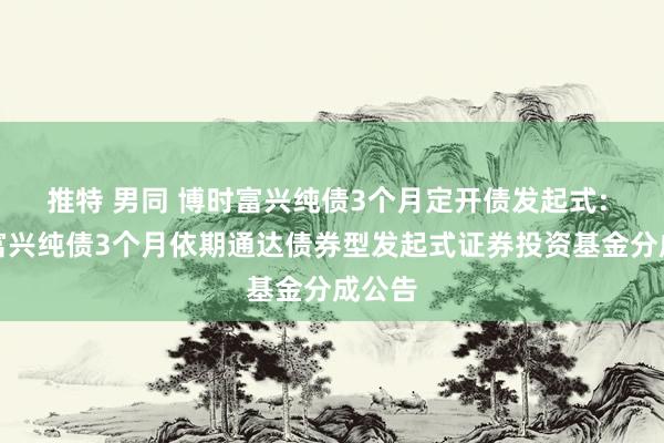 推特 男同 博时富兴纯债3个月定开债发起式: 博时富兴纯债3个月依期通达债券型发起式证券投资基金分成公告