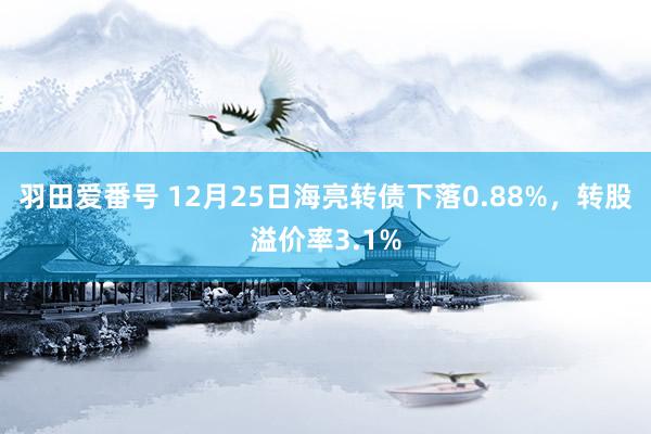羽田爱番号 12月25日海亮转债下落0.88%，转股溢价率3.1%