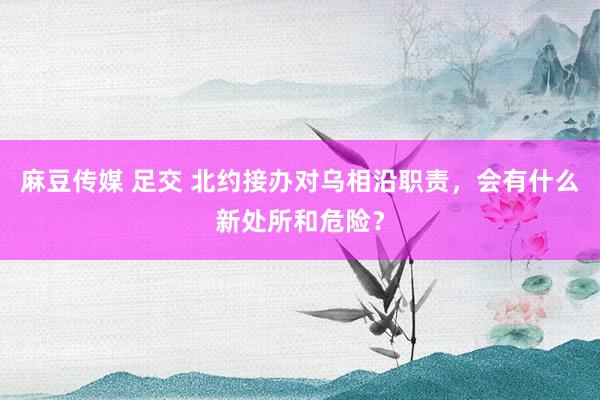 麻豆传媒 足交 北约接办对乌相沿职责，会有什么新处所和危险？