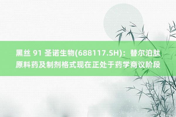 黑丝 91 圣诺生物(688117.SH)：替尔泊肽原料药及制剂格式现在正处于药学商议阶段