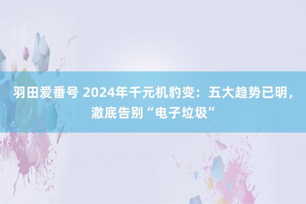 羽田爱番号 2024年千元机豹变：五大趋势已明，澈底告别“电子垃圾”