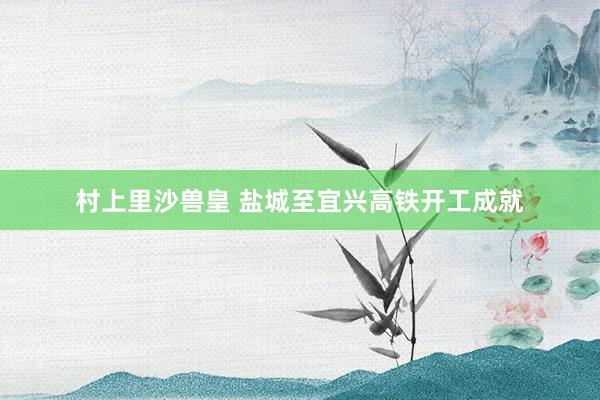 村上里沙兽皇 盐城至宜兴高铁开工成就