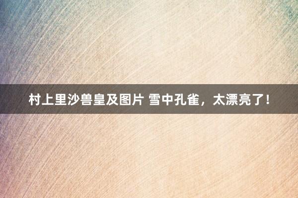 村上里沙兽皇及图片 雪中孔雀，太漂亮了！