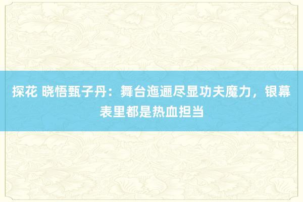 探花 晓悟甄子丹：舞台迤逦尽显功夫魔力，银幕表里都是热血担当