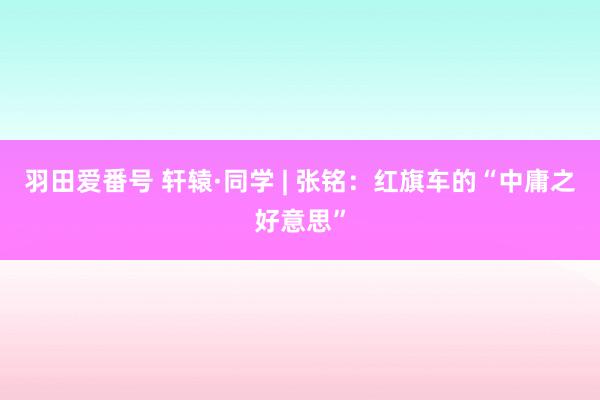 羽田爱番号 轩辕·同学 | 张铭：红旗车的“中庸之好意思”