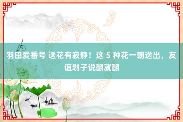 羽田爱番号 送花有寂静！这 5 种花一朝送出，友谊划子说翻就翻