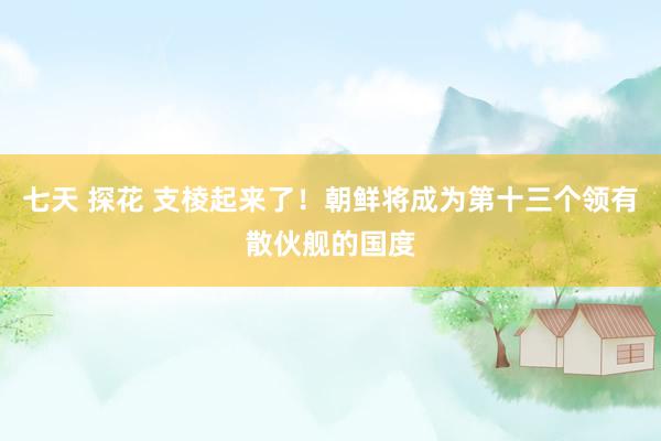 七天 探花 支棱起来了！朝鲜将成为第十三个领有散伙舰的国度