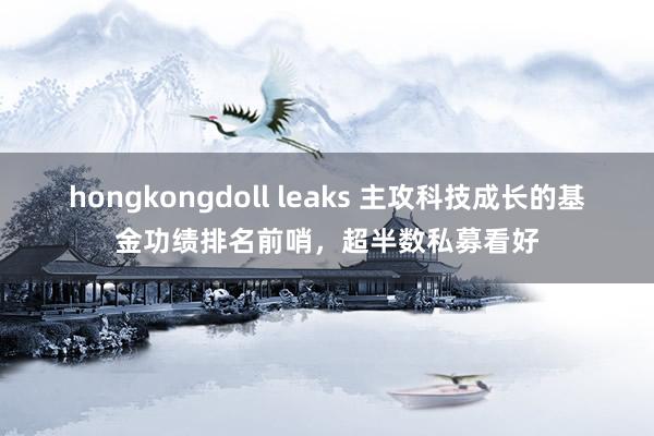 hongkongdoll leaks 主攻科技成长的基金功绩排名前哨，超半数私募看好