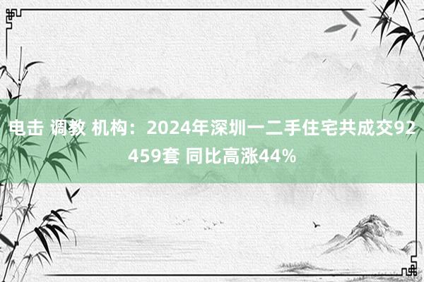 电击 调教 机构：2024年深圳一二手住宅共成交92459套 同比高涨44%