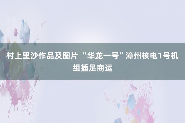 村上里沙作品及图片 “华龙一号”漳州核电1号机组插足商运
