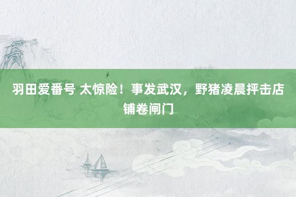 羽田爱番号 太惊险！事发武汉，野猪凌晨抨击店铺卷闸门