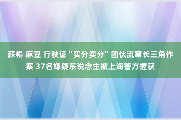 蘇暢 麻豆 行驶证“买分卖分”团伙流窜长三角作案 37名嫌疑东说念主被上海警方握获