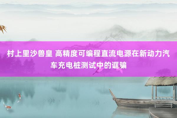 村上里沙兽皇 高精度可编程直流电源在新动力汽车充电桩测试中的诓骗