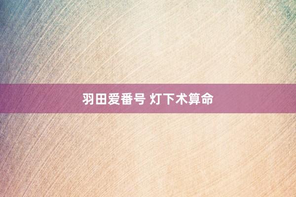 羽田爱番号 灯下术算命