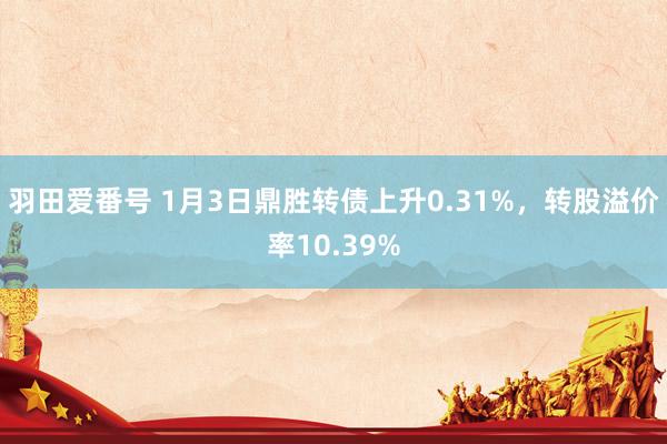 羽田爱番号 1月3日鼎胜转债上升0.31%，转股溢价率10.39%