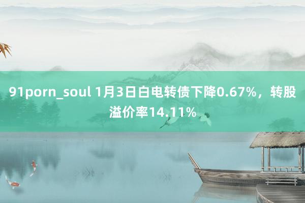 91porn_soul 1月3日白电转债下降0.67%，转股溢价率14.11%