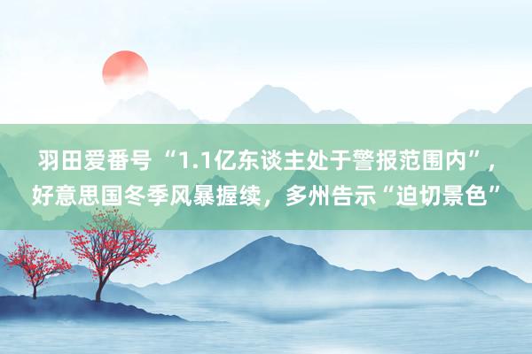 羽田爱番号 “1.1亿东谈主处于警报范围内”，好意思国冬季风暴握续，多州告示“迫切景色”