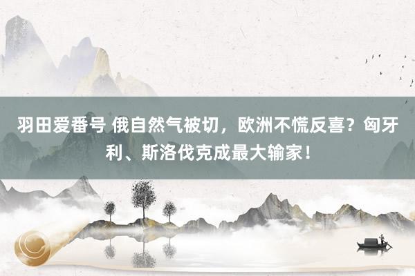 羽田爱番号 俄自然气被切，欧洲不慌反喜？匈牙利、斯洛伐克成最大输家！