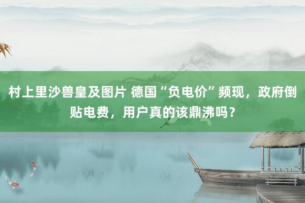 村上里沙兽皇及图片 德国“负电价”频现，政府倒贴电费，用户真的该鼎沸吗？