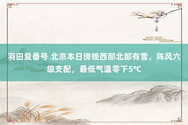 羽田爱番号 北京本日傍晚西部北部有雪，阵风六级支配，最低气温零下5℃