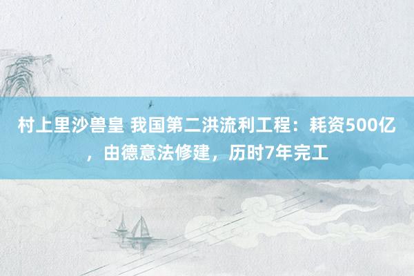 村上里沙兽皇 我国第二洪流利工程：耗资500亿，由德意法修建，历时7年完工