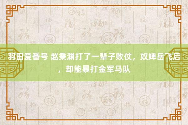 羽田爱番号 赵秉渊打了一辈子败仗，奴婢岳飞后，却能暴打金军马队