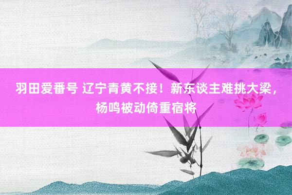 羽田爱番号 辽宁青黄不接！新东谈主难挑大梁，杨鸣被动倚重宿将