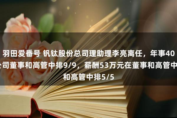 羽田爱番号 钒钛股份总司理助理李亮离任，年事40岁在公司董事和高管中排9/9，薪酬53万元在董事和高管中排5/5