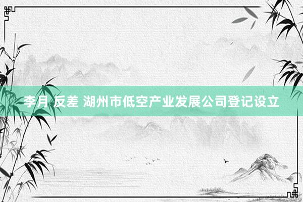 李月 反差 湖州市低空产业发展公司登记设立