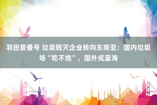 羽田爱番号 垃圾毁灭企业转向东南亚：国内垃圾场“吃不饱”，国外成蓝海