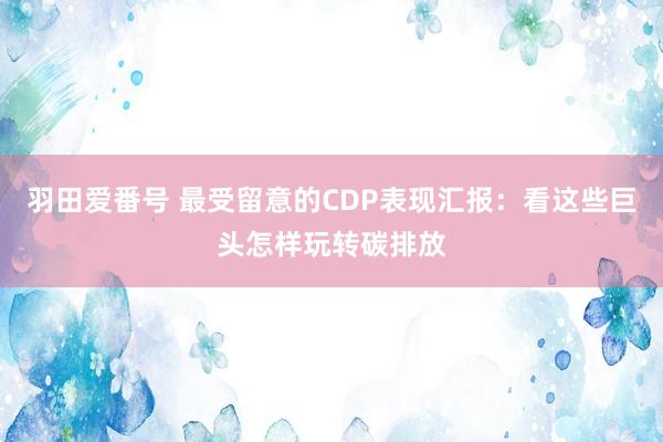 羽田爱番号 最受留意的CDP表现汇报：看这些巨头怎样玩转碳排放