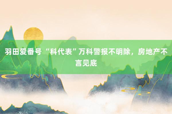 羽田爱番号 “科代表”万科警报不明除，房地产不言见底
