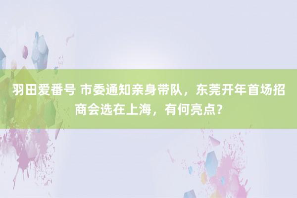羽田爱番号 市委通知亲身带队，东莞开年首场招商会选在上海，有何亮点？