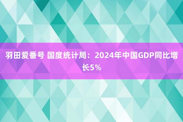 羽田爱番号 国度统计局：2024年中国GDP同比增长5%