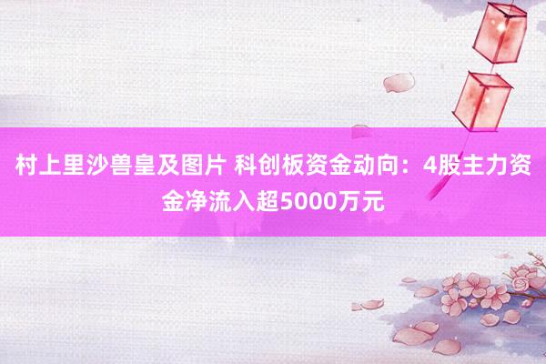 村上里沙兽皇及图片 科创板资金动向：4股主力资金净流入超5000万元