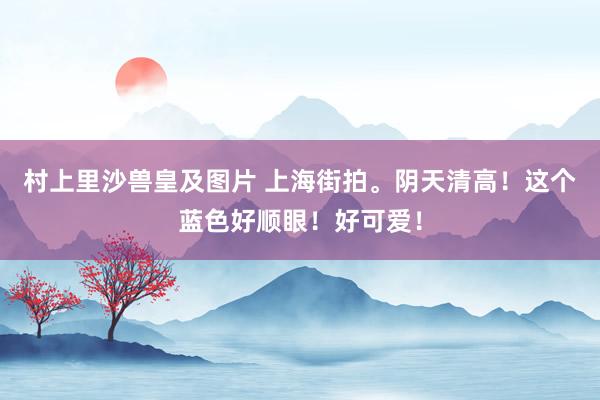 村上里沙兽皇及图片 上海街拍。阴天清高！这个蓝色好顺眼！好可爱！