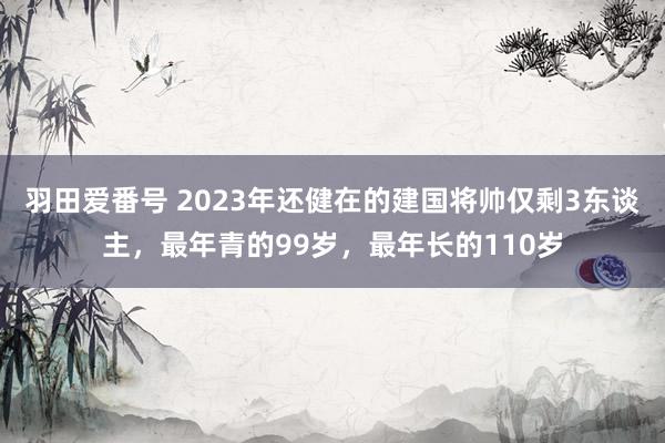 羽田爱番号 2023年还健在的建国将帅仅剩3东谈主，最年青的99岁，最年长的110岁