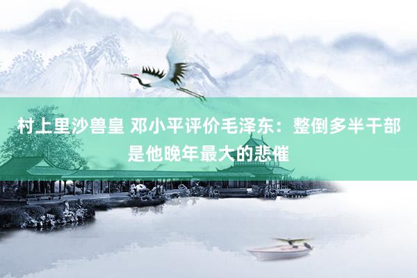 村上里沙兽皇 邓小平评价毛泽东：整倒多半干部是他晚年最大的悲催