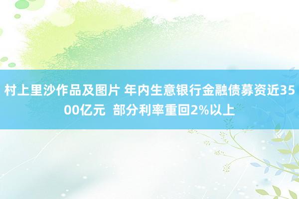 村上里沙作品及图片 年内生意银行金融债募资近3500亿元  部分利率重回2%以上