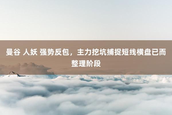 曼谷 人妖 强势反包，主力挖坑捕捉短线横盘已而整理阶段