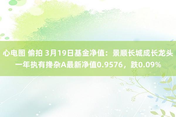 心电图 偷拍 3月19日基金净值：景顺长城成长龙头一年执有搀杂A最新净值0.9576，跌0.09%