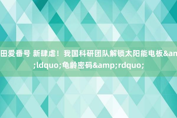 羽田爱番号 新肆虐！我国科研团队解锁太阳能电板&ldquo;龟龄密码&rdquo;