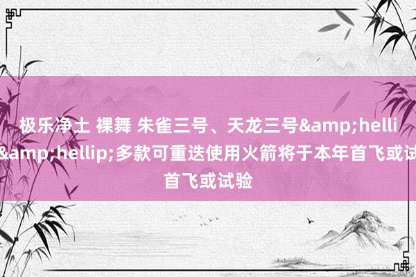 极乐净土 裸舞 朱雀三号、天龙三号&hellip;&hellip;多款可重迭使用火箭将于本年首飞或试验
