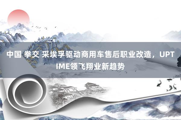 中国 拳交 采埃孚驱动商用车售后职业改造，UPTIME领飞翔业新趋势