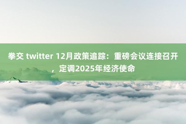 拳交 twitter 12月政策追踪：重磅会议连接召开，定调2025年经济使命
