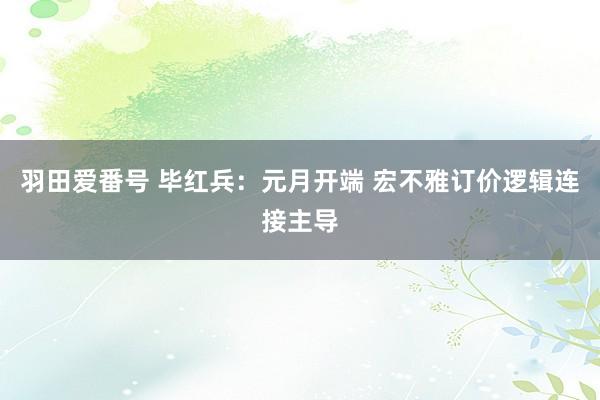 羽田爱番号 毕红兵：元月开端 宏不雅订价逻辑连接主导