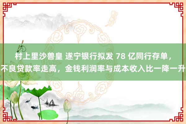 村上里沙兽皇 遂宁银行拟发 78 亿同行存单，不良贷款率走高，金钱利润率与成本收入比一降一升
