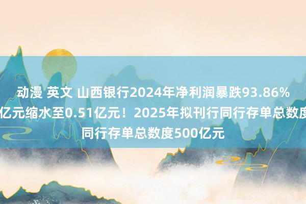 动漫 英文 山西银行2024年净利润暴跌93.86%，从8.31亿元缩水至0.51亿元！2025年拟刊行同行存单总数度500亿元